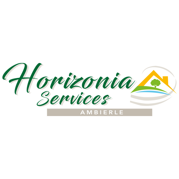 Création du logo Horizonia Serices